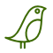 Species of birds
