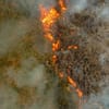 Rainforest ind Ecuador thats slashed and burned