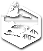 Save the Paradise