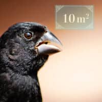 Protect 10m2